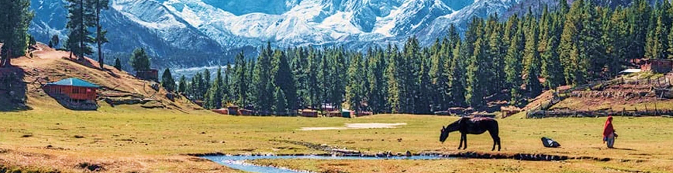 Lush green alpine meadows dotted with wildflowers in Gilgit-Baltistan, surrounded by towering mountain peaks and showcasing the region's pristine high-altitude ecosystems