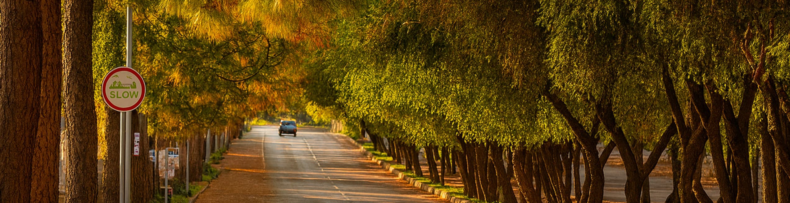 A winding hill road in F-6 Islamabad, with scenic views of the surrounding greenery and residential areas.