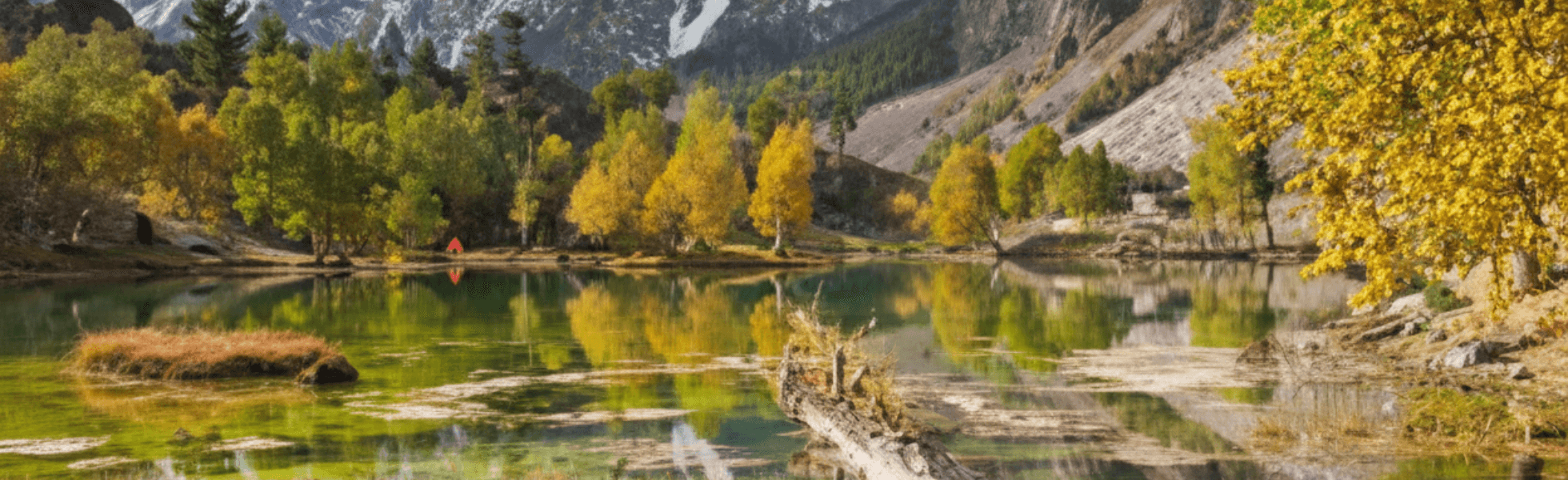 Naltar Valley travel from Gilgit, Naltar Valley weather 