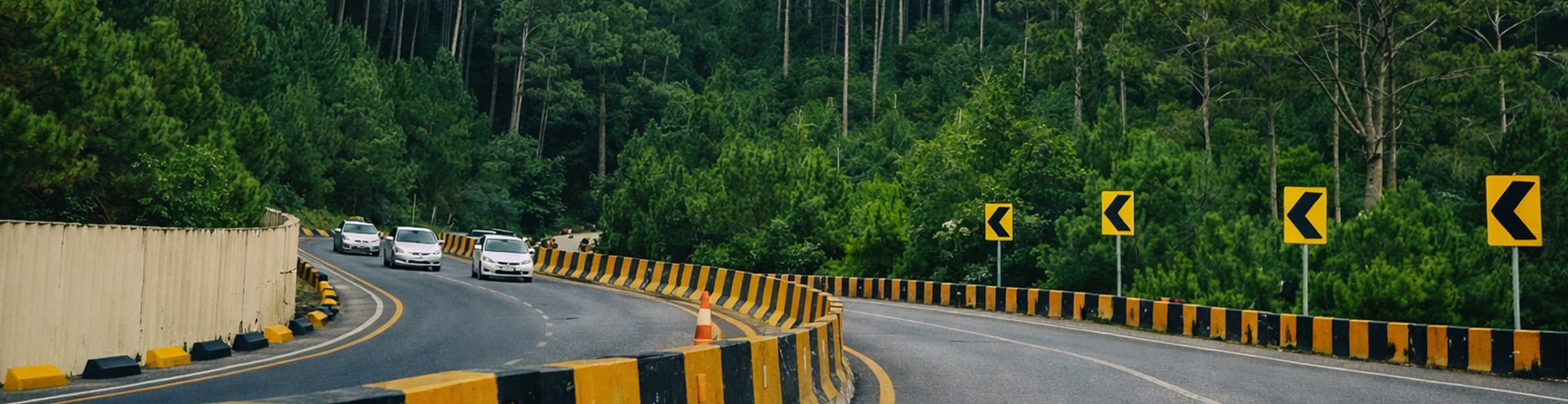 Green forest scenery in Murree, natural landscape of Murree hills