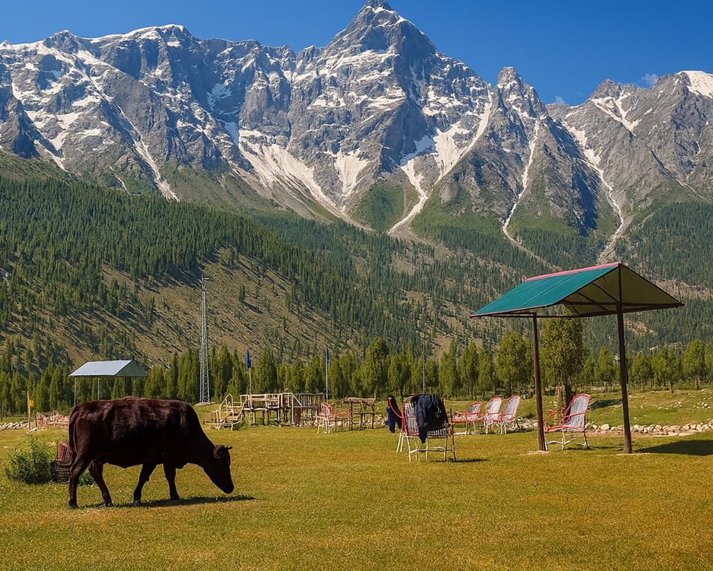 Basho Valley Meadows, Skardu Vast, vibrant meadows in Basho Valley, Skardu, surrounded by mountains and natural greenery.