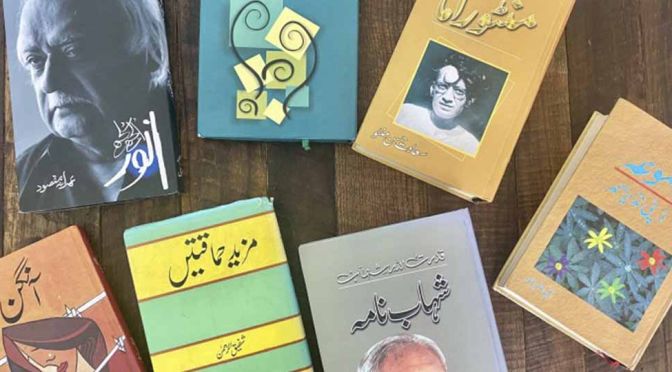 Top 10 Urdu Fiction Series You Must Read